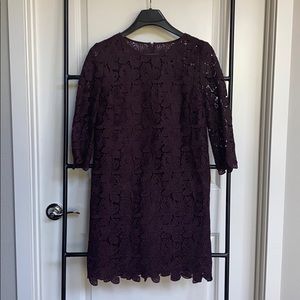 Ann Taylor LOFT Lace Dress